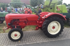 BildKreutzer1
